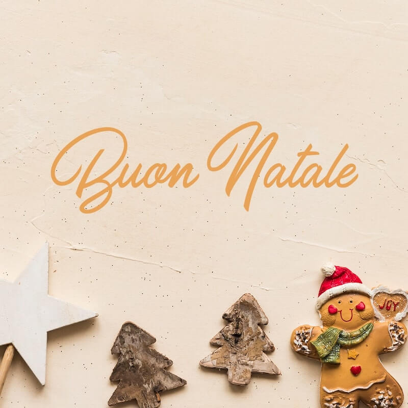 Chiusure Festività Natalizie 2024 - 1Control